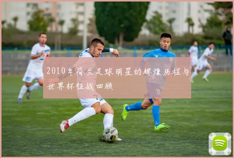 2010年荷兰足球明星的辉煌历程与世界杯征战回顾