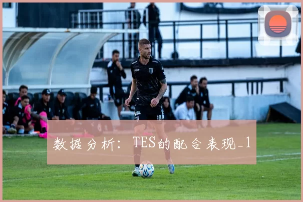 数据分析：TES的配合表现_1