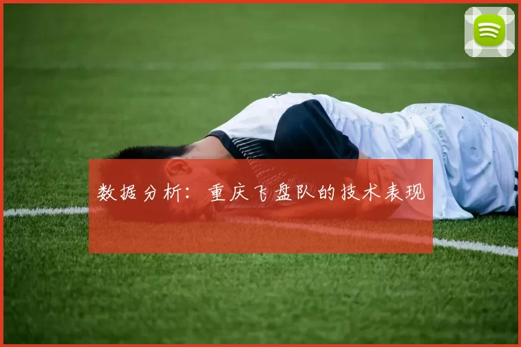数据分析：重庆飞盘队的技术表现
