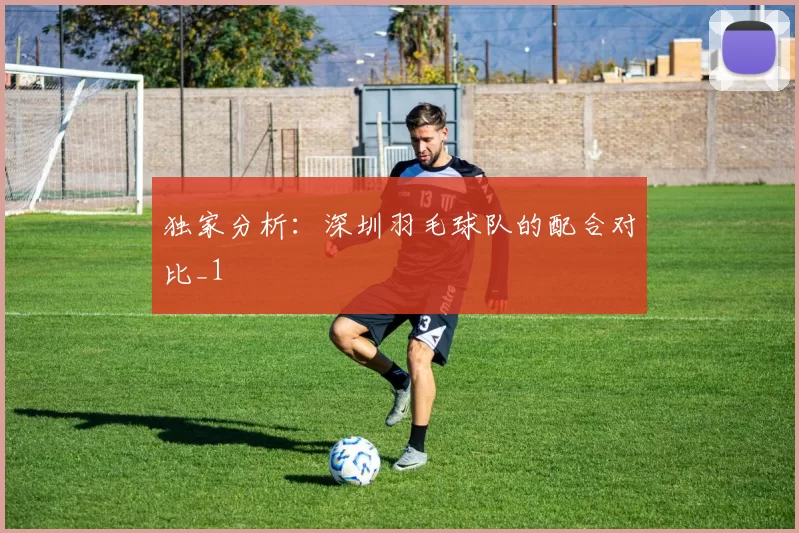 独家分析：深圳羽毛球队的配合对比_1