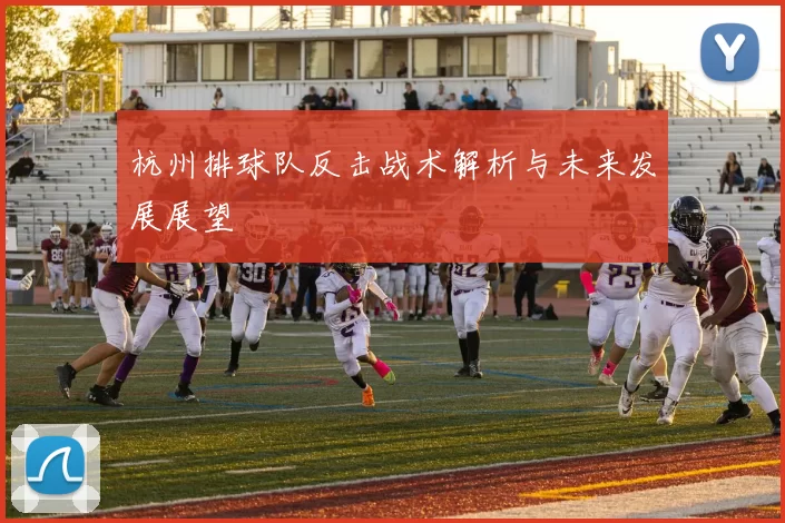 杭州排球队反击战术解析与未来发展展望